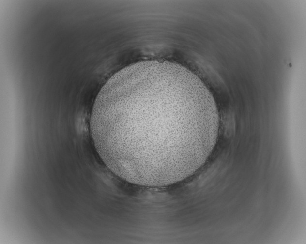X0000110760770200906291027