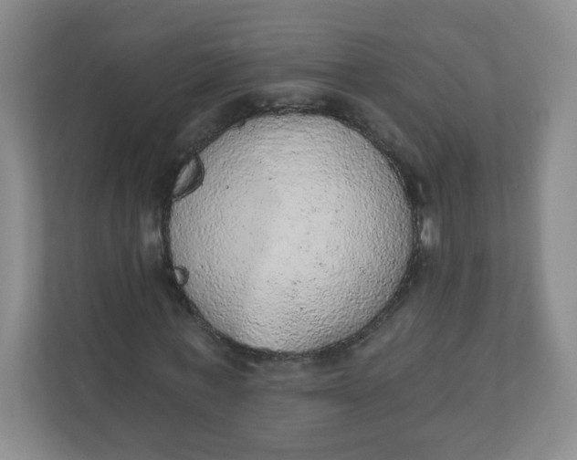 X0000110760771200906291027