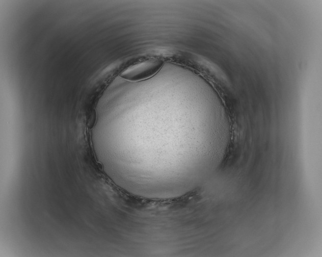 X0000110760773200906291027
