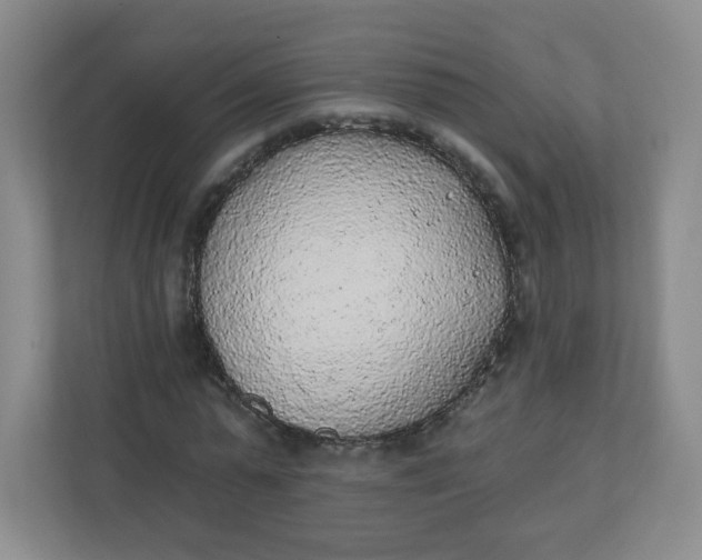 X0000110760775200906291027