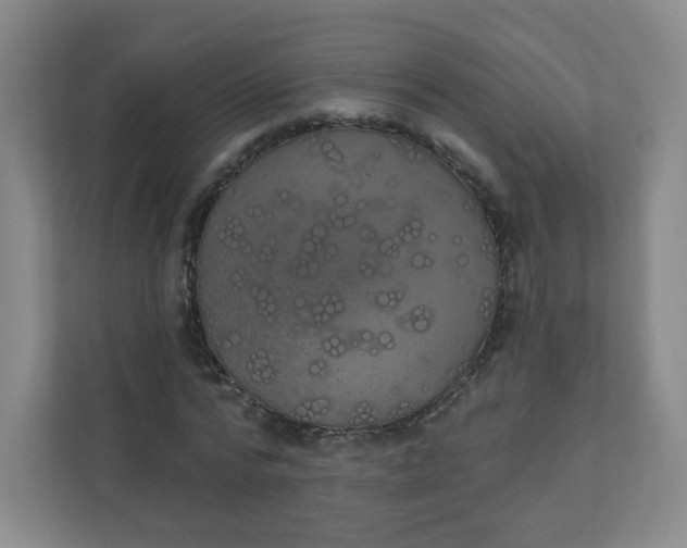 X0000110760776200906291027