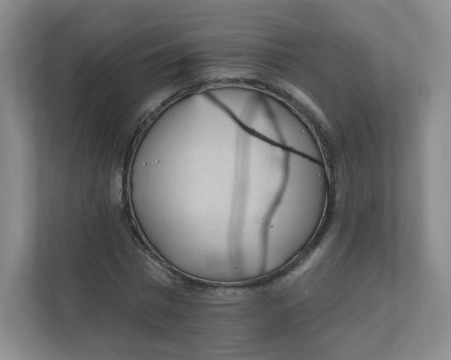 X0000110760777200906291027