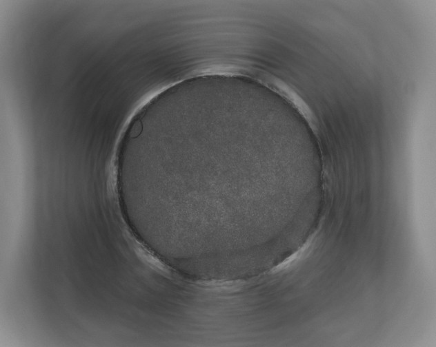 X0000110760779200906291027
