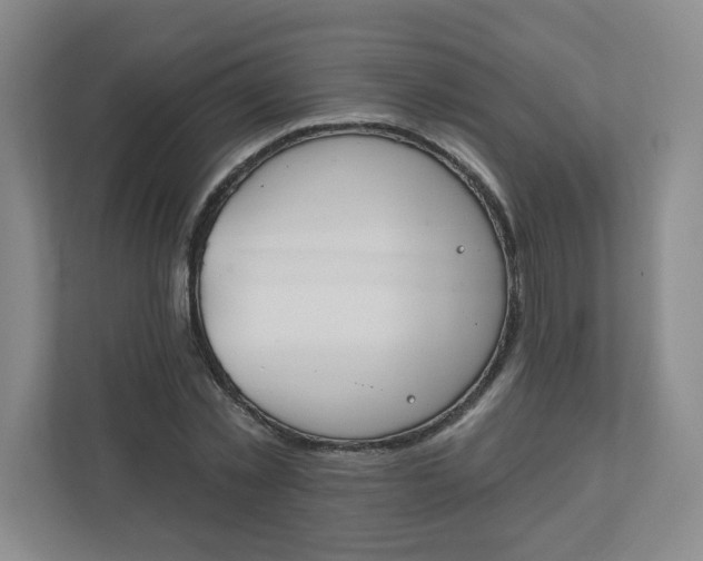X0000110760781200906291027