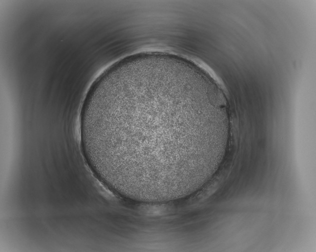 X0000110760791200906291027