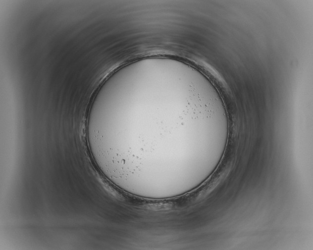 X0000110760793200906291027
