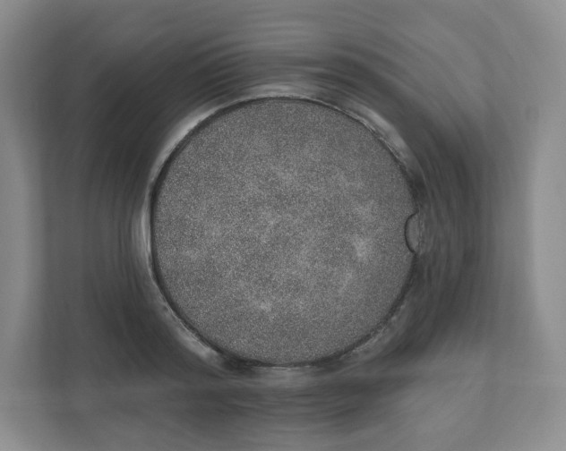 X0000110760796200906291027