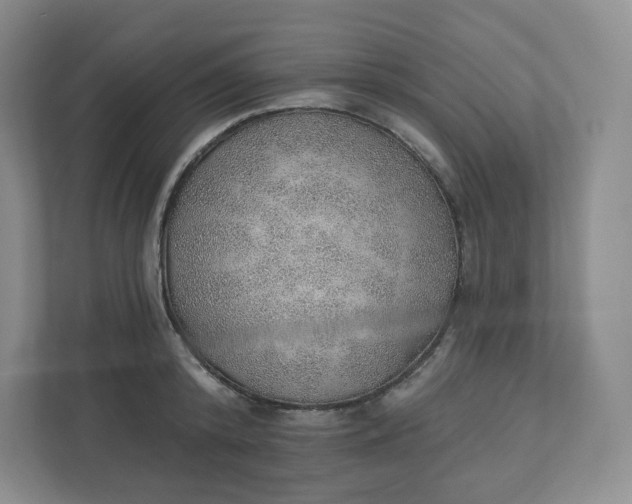 X0000110760800200906291027
