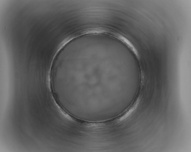 X0000110760802200906291027