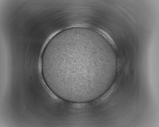 X0000110760804200906291027