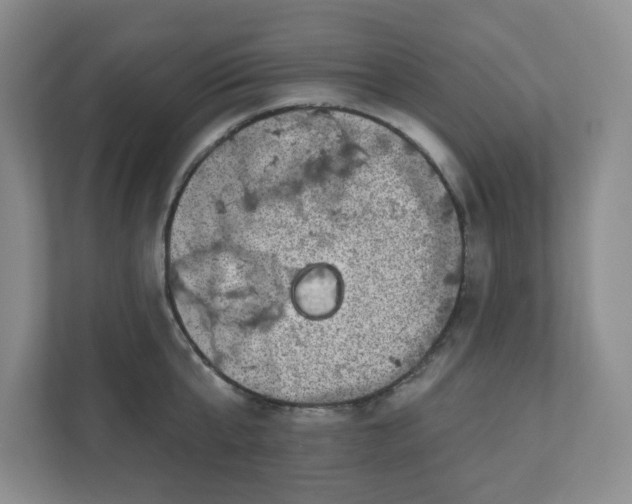X0000110760807200906291027
