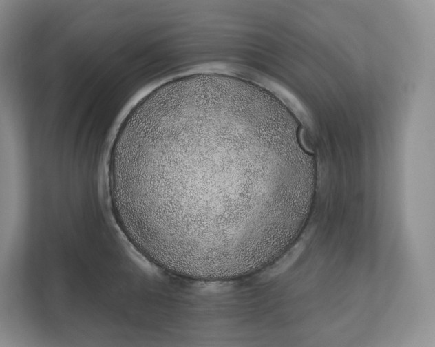 X0000110760808200906291027