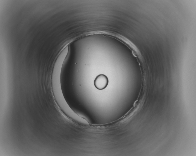 X0000110760809200906291027