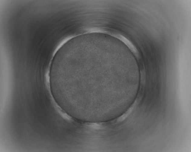 X0000110760814200906291027