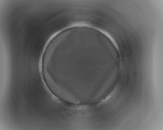X0000110760815200906291027