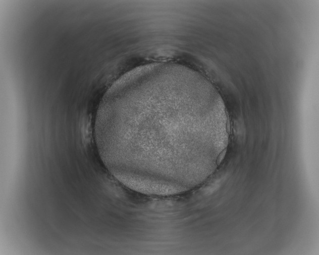X0000110760818200906291026