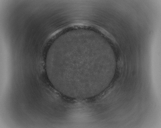 X0000110760822200906291026