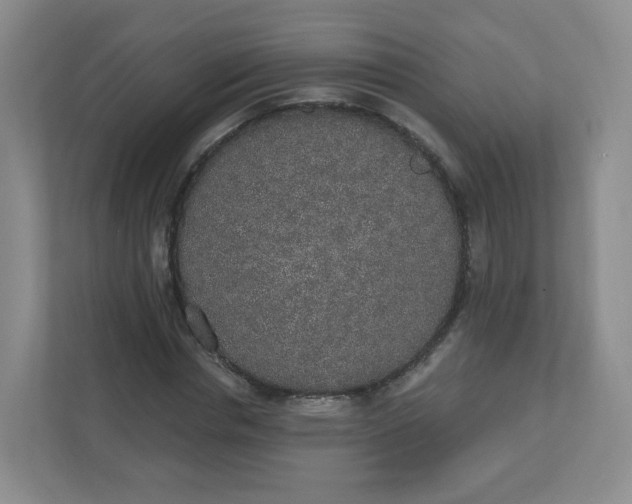X0000110760826200906291026