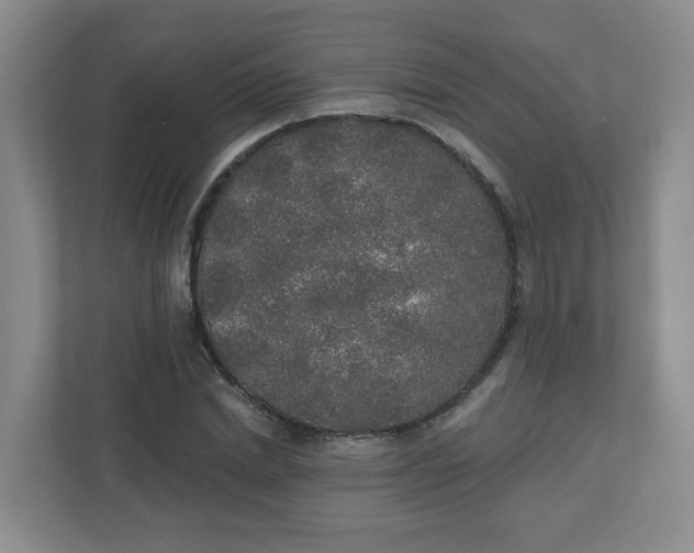 X0000110760830200906291026