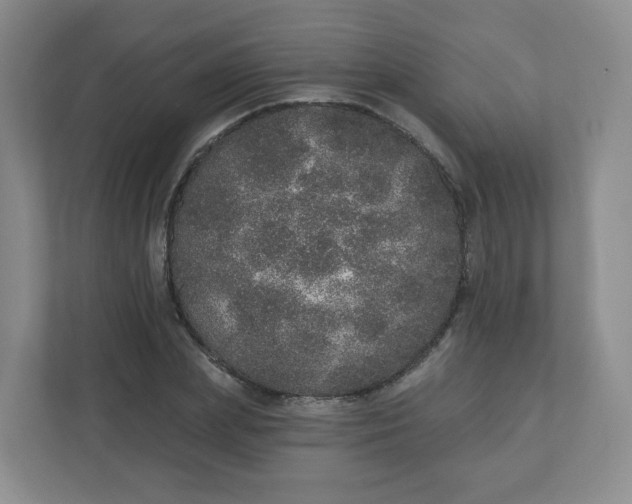 X0000110760831200906291026