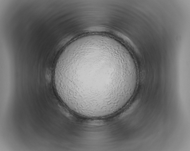 X0000110760833200906291026