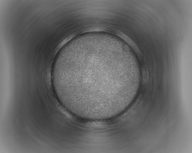 X0000110760834200906291026