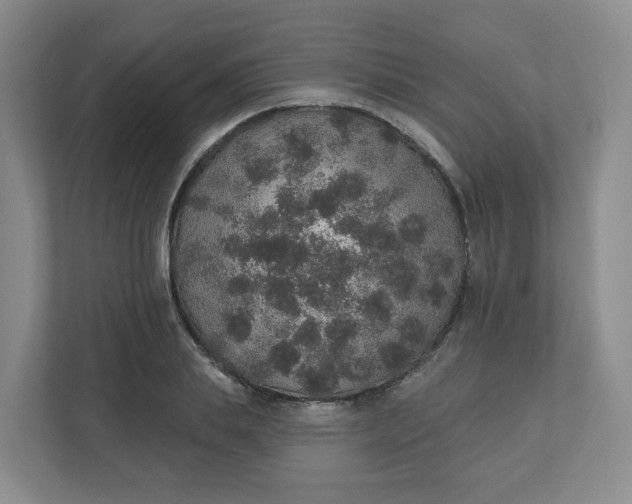 X0000110760839200906291026