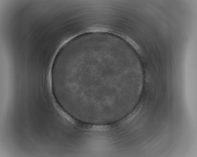 X0000110760840200906291026