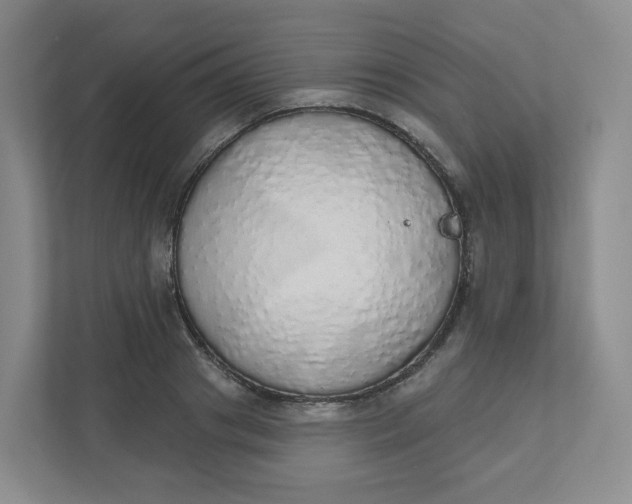 X0000110760841200906291026