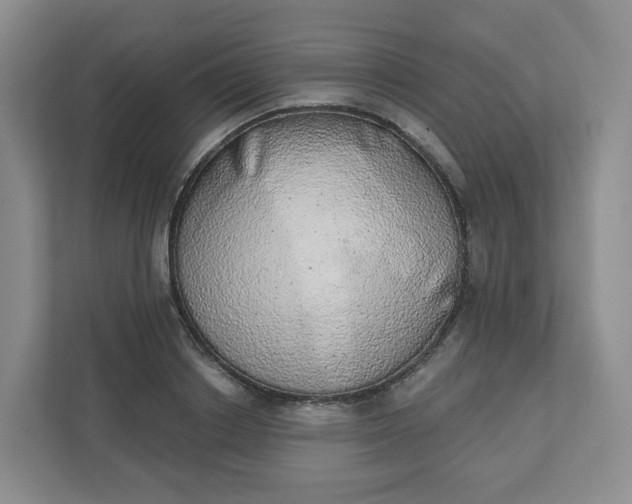 X0000110760842200906291026