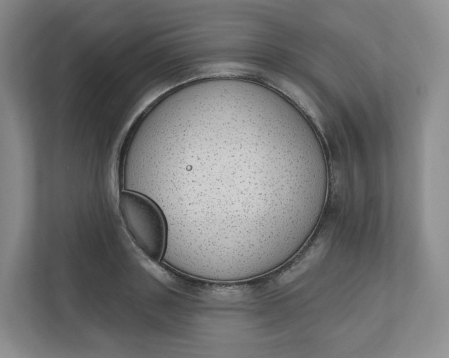 X0000110760843200906291026