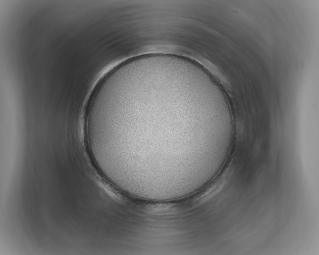 X0000110760846200906291026