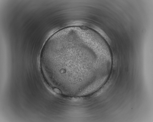 X0000110760850200906291026