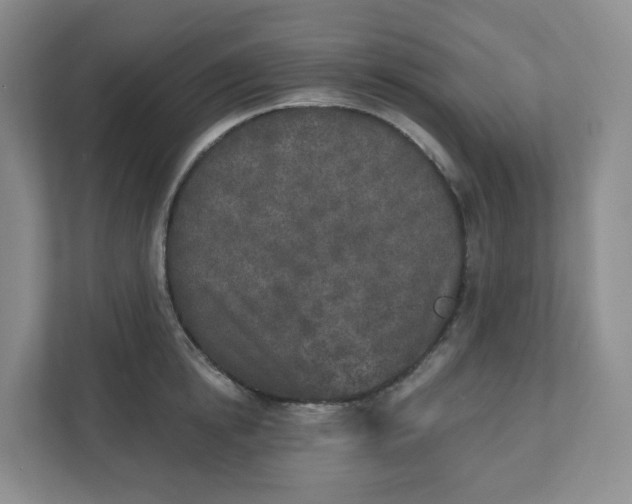 X0000110760854200906291027