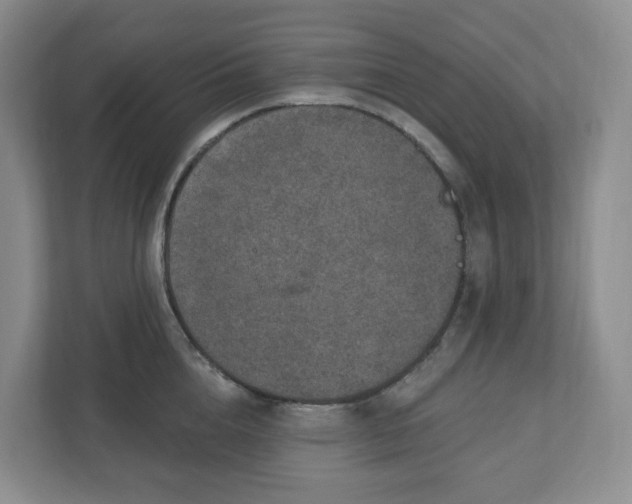 X0000110760856200906291027