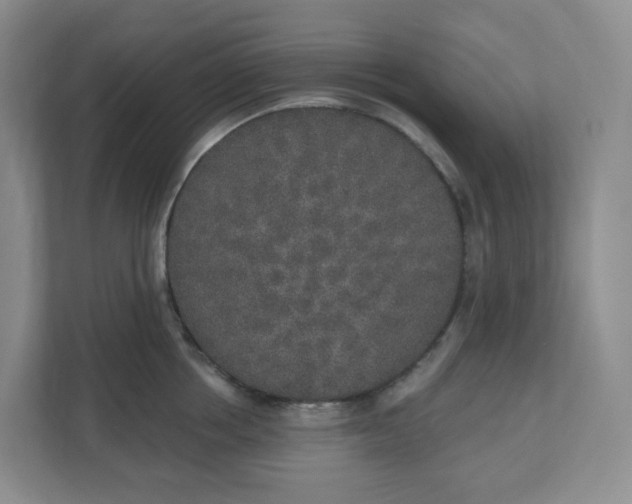 X0000110760858200906291027