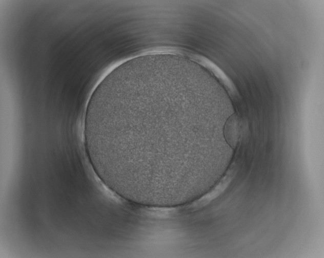 X0000110760860200906291027