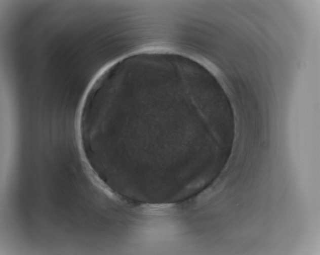 X0000110760864200906291027