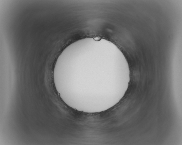 X0000110760865200906291026