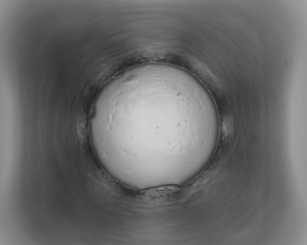 X0000110760867200906291026