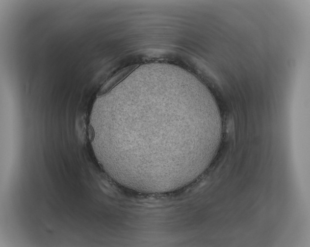 X0000110760868200906291026