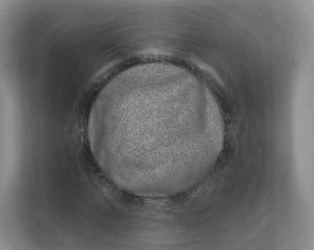 X0000110760870200906291026
