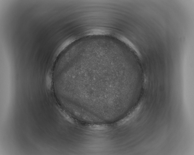X0000110760874200906291026
