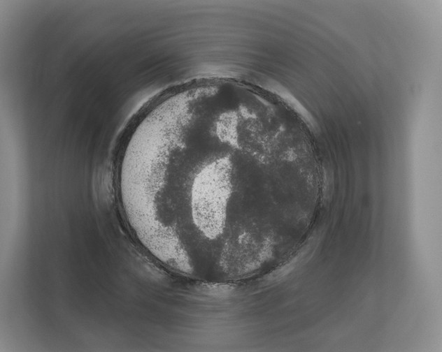 X0000110760878200906291026
