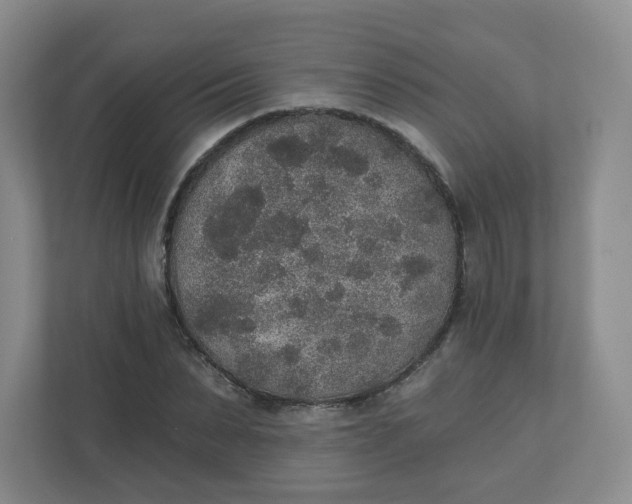 X0000110760879200906291026