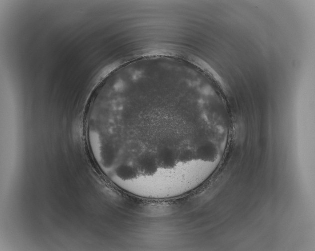 X0000110760882200906291026