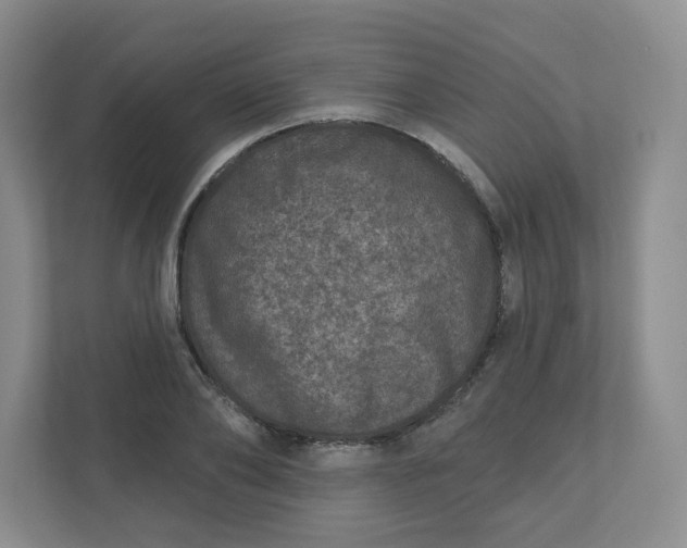 X0000110760886200906291026