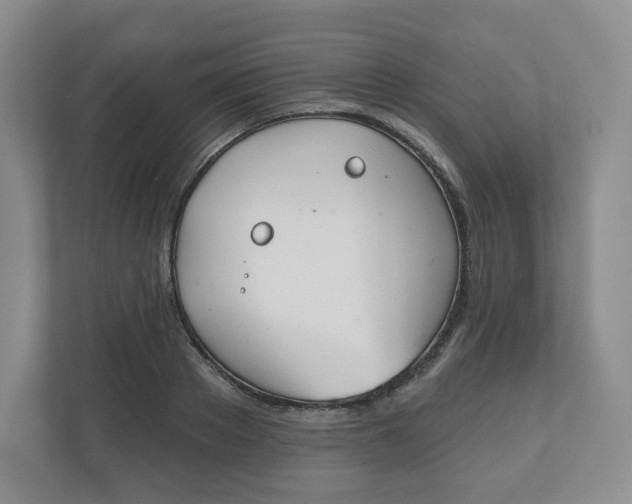 X0000110760889200906291026