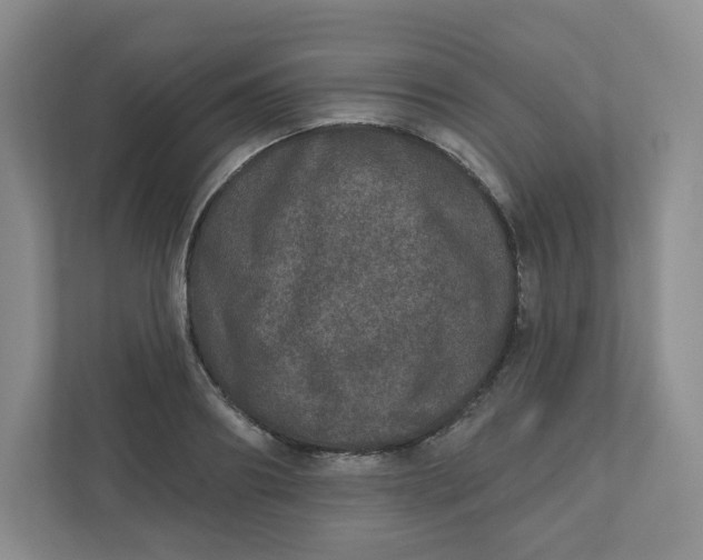 X0000110760890200906291026