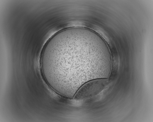 X0000110760893200906291026